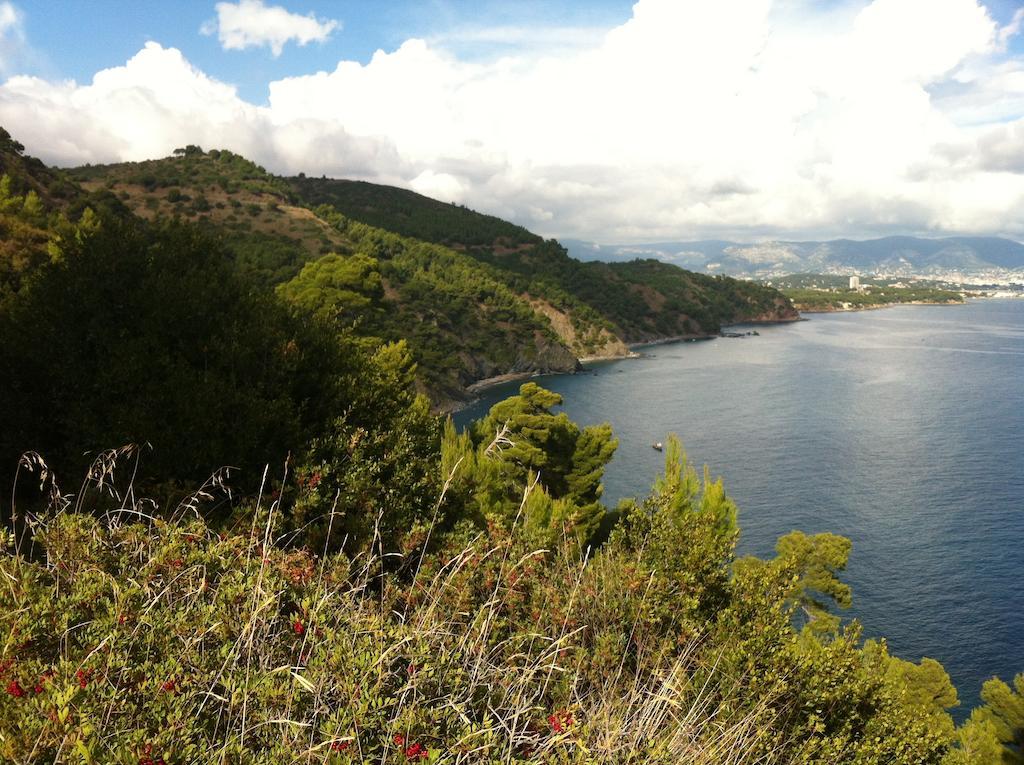 Villa Fabregas La Seyne-sur-Mer Eksteriør billede